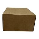 Corrugated Packaging Box